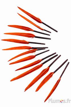 Gans - 5-8 cm - aztekengold